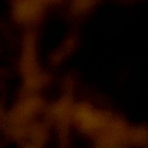 Meet your Posher, Chuck